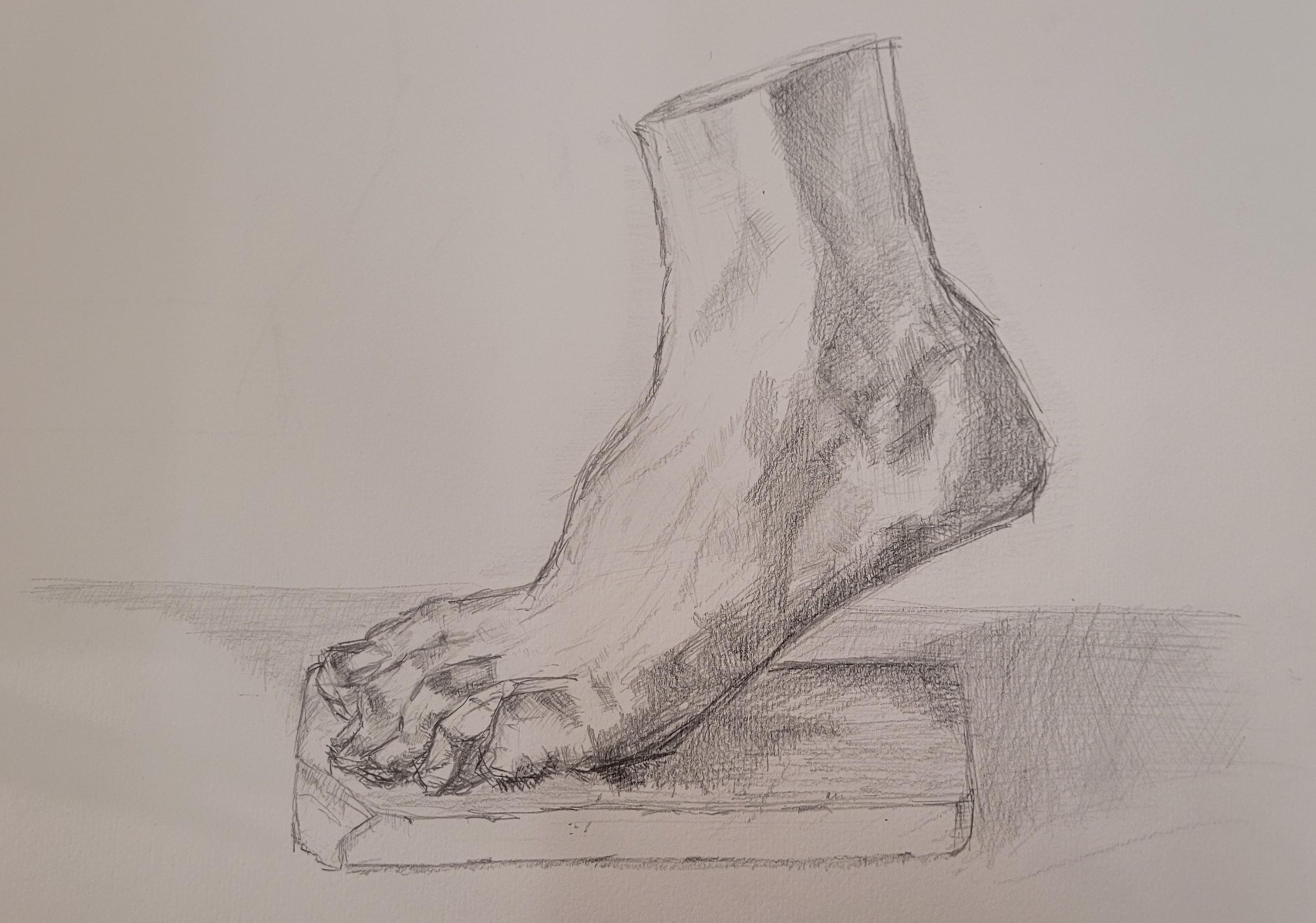 Foot
